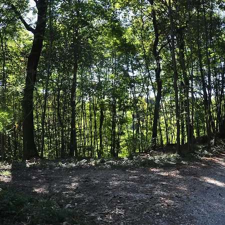 Frühstückspension Fior Di Robinia
